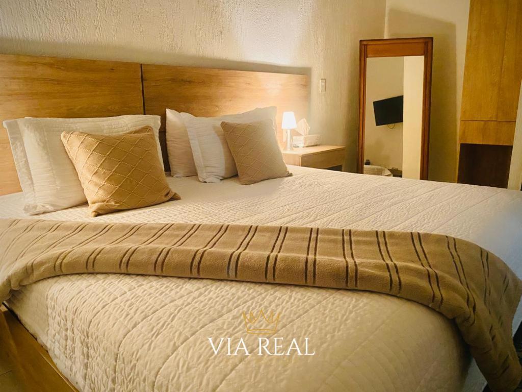 Via Real Hotel Boutique Atotonilco El Alto Eksteriør billede